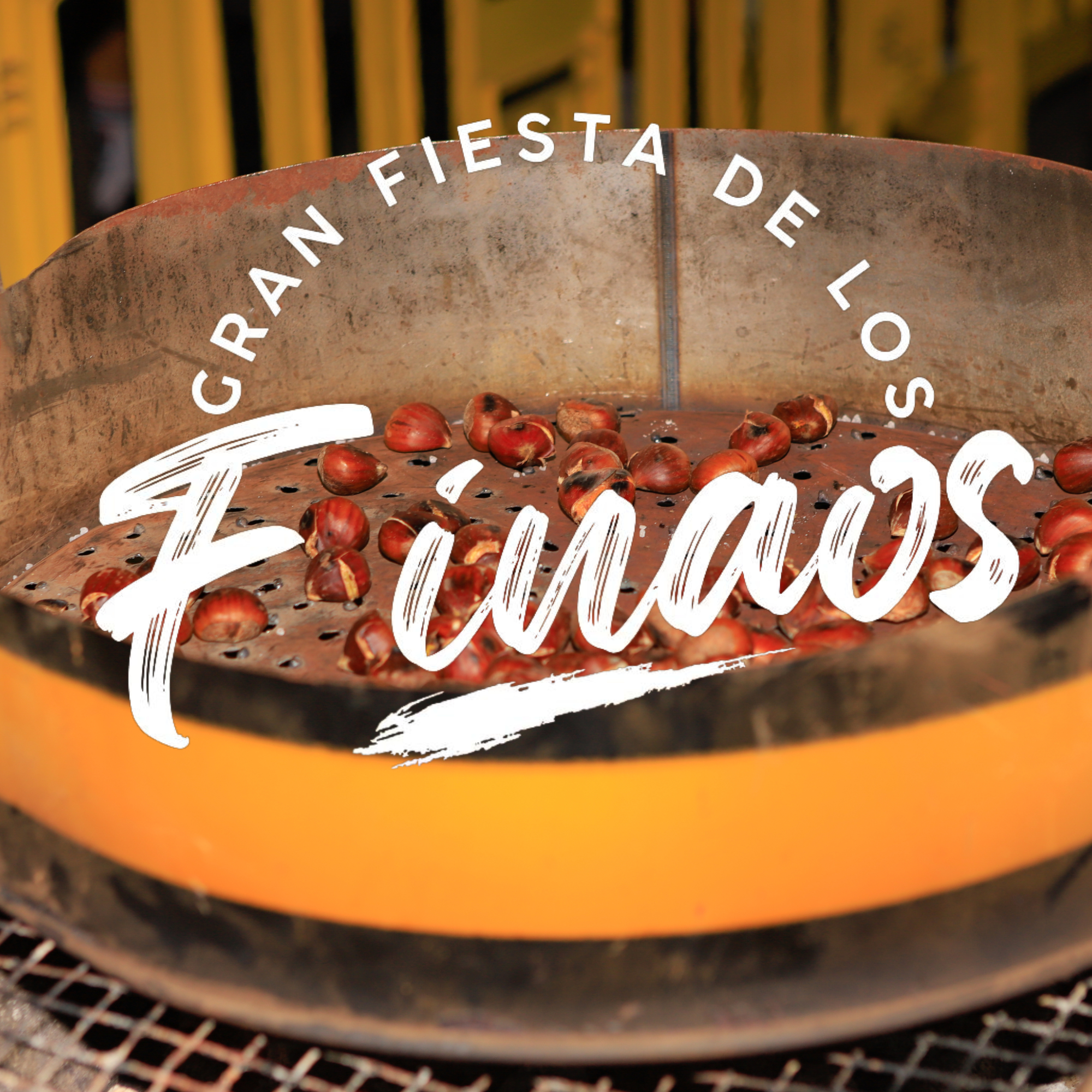 Finaos urbanización Miguelito Calderín 31 10 2025